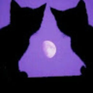 Meet your Posher, Tia